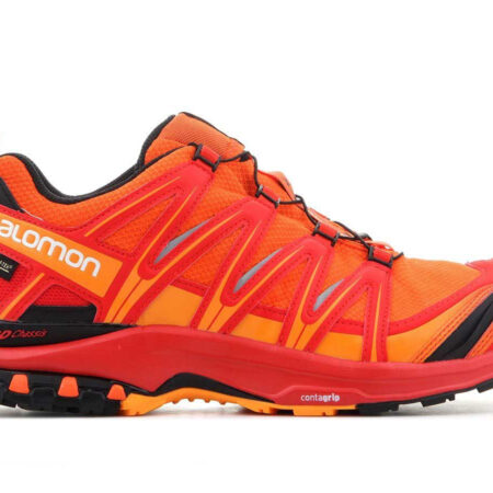 Salomon XA Pro 3D GTX 400914