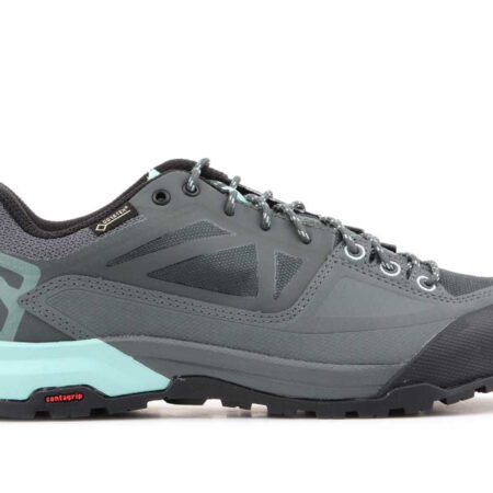 Salomon X Alp Spry Gtx 401619