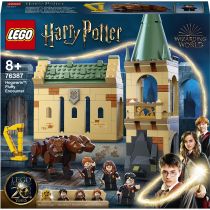 LEGO Harry Potter Hogwart: spotkanie z Puszkiem 76387