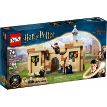 LEGO Harry Potter Hogwart™: Pierwsza lekcja latania 76395