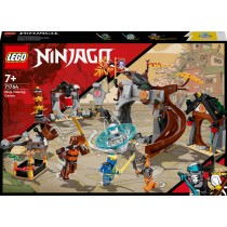 LEGO NINJAGO Akademia wojowników Ninja 71764