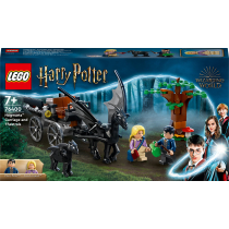 LEGO Harry Potter Testrale i kareta z Hogwartu 76400