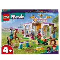 LEGO Friends Szkolenie koni 41746