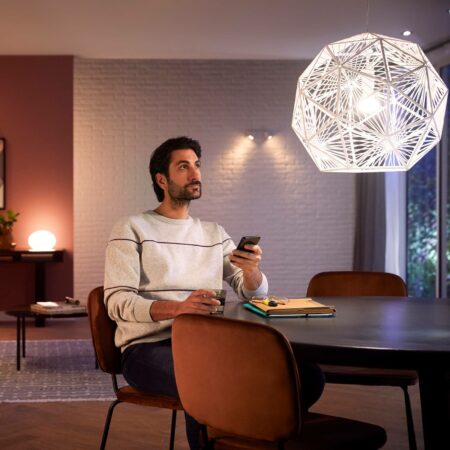 Philips Hue White E27 żarówka LED 8W 1100lm