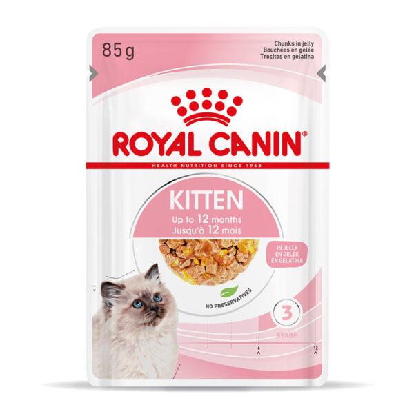 Royal Canin Kitten w galarecie - 12 x 85 g