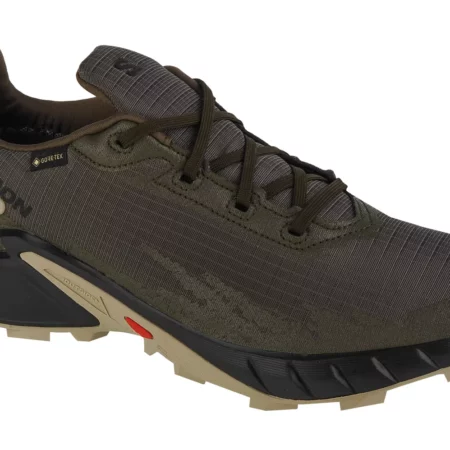 Salomon Alphacross 4 GTX 471169, Męskie, Zielone, buty do biegania, tkanina, rozmiar: 41 1/3