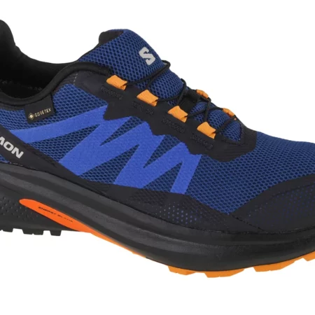 Salomon Hypulse GTX 415961, Męskie, Granatowe, buty do biegania, tkanina, rozmiar: 44 2/3