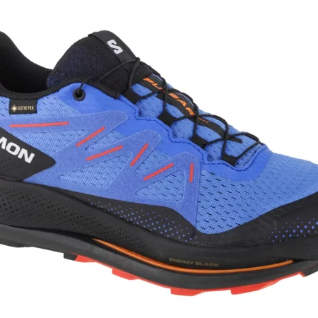 Salomon Pulsar Trail GTX 416080, Męskie, Granatowe, buty do biegania, tkanina, rozmiar: 42 2/3