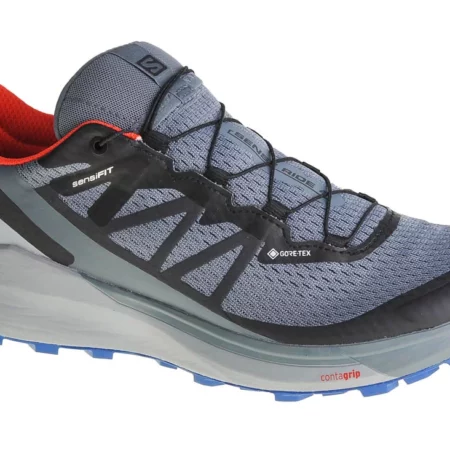 Salomon Sense Ride 4 GTX 413778, Męskie, Szare, buty do biegania, tkanina, rozmiar: 40