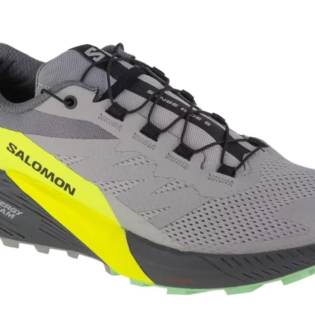 Salomon Sense Ride 5 471442, Męskie, Szare, buty do biegania, tkanina, rozmiar: 41 1/3