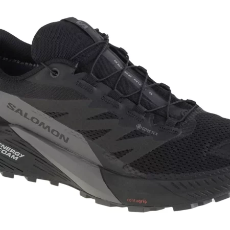 Salomon Sense Ride 5 GTX 471472, Męskie, Czarne, buty do biegania, tkanina, rozmiar: 41 1/3