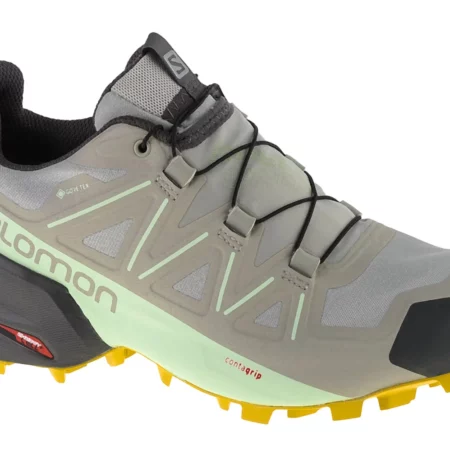 Salomon Speedcross 5 GTX W 416128, Damskie, Szare, buty do biegania, tkanina, rozmiar: 40