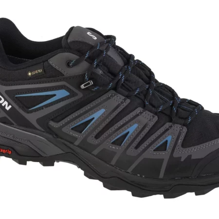 Salomon X Ultra Pioneer GTX 471701, Męskie, Czarne, buty trekkingowe, tkanina, rozmiar: 42 2/3