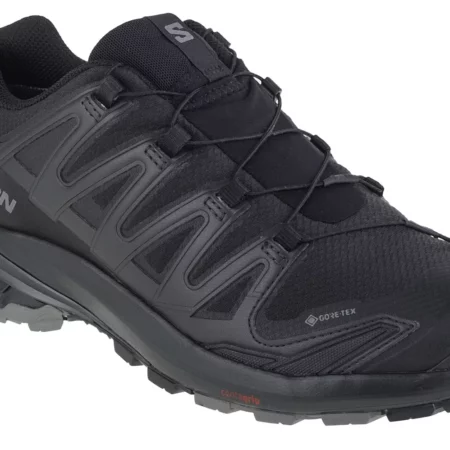 Salomon XA Pro 3D v9 GTX 472701, Męskie, Czarne, buty do biegania, tkanina, rozmiar: 41 1/3